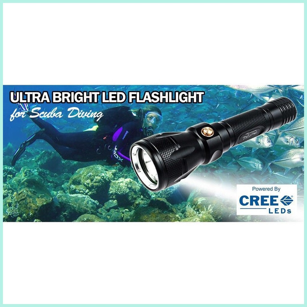 Scuba Diving LED Waterproof Rechargeable Flashlight(BL-8796) | Shopee ...