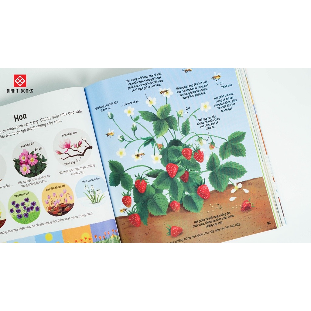 TRI Book - Encyclopedia of knowledge for children - 7 major science ...