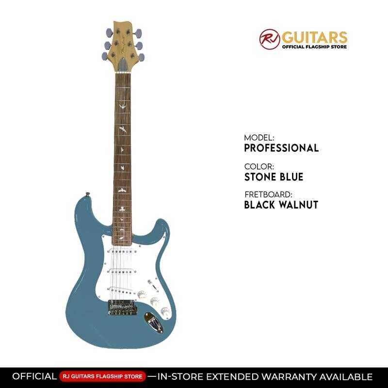 RJ Professional Electrics - Vibecaster Electric Guitar (Siersky