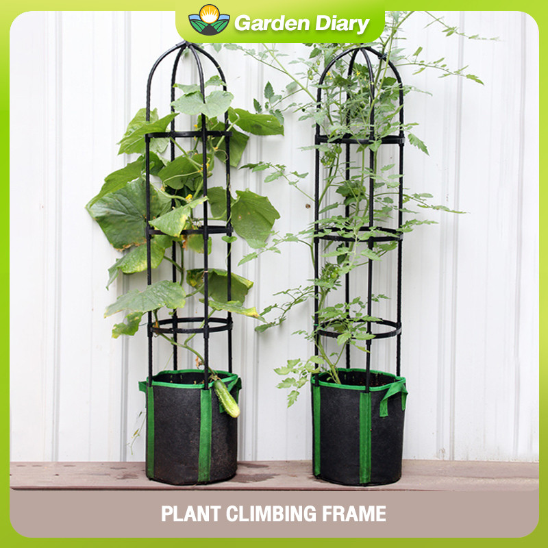 Climbing rattan rack Splicing flower pillars Outdoor flower stand plant ...