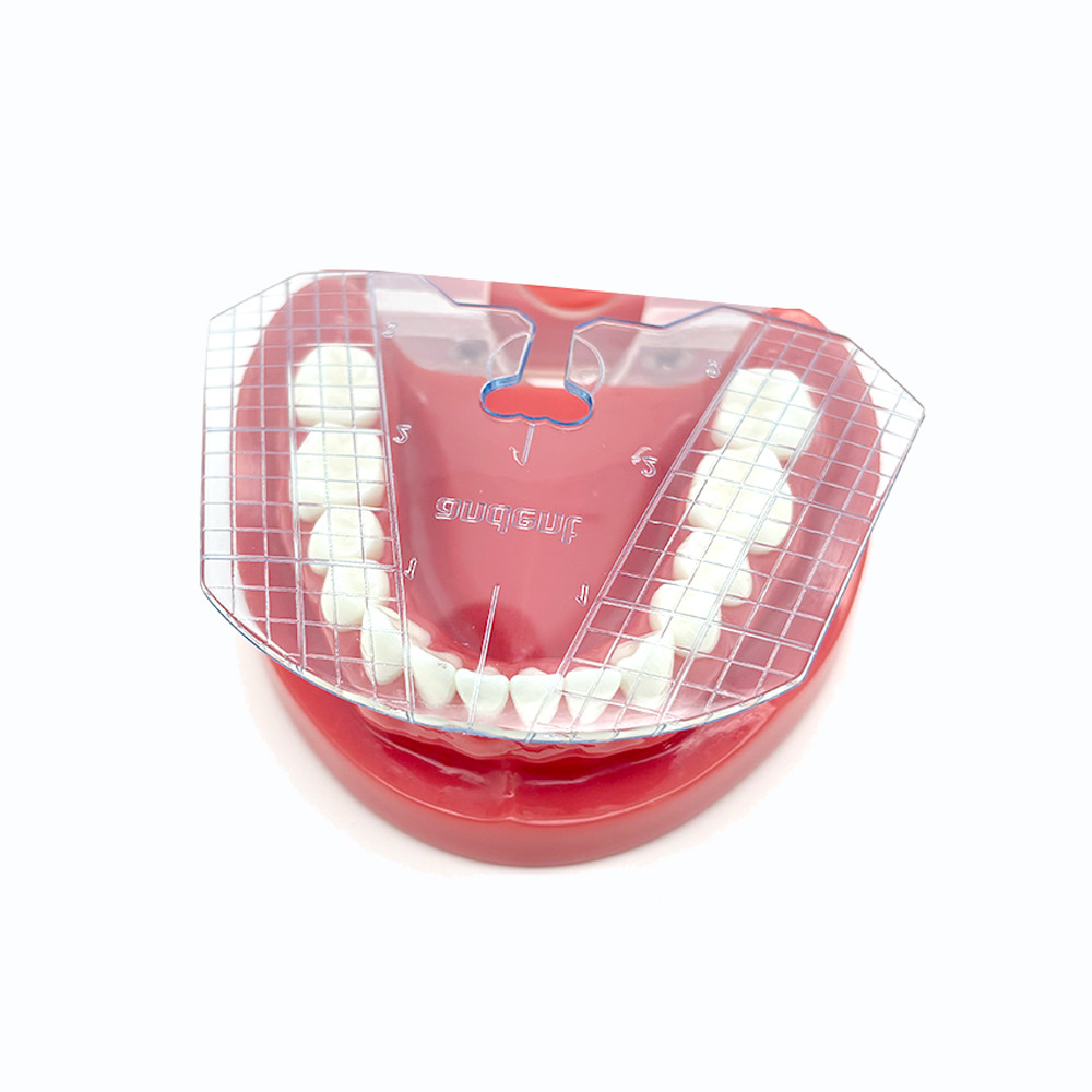 Dental Guide Plate Teeth Arrangement On Denture for Complete Denture ...