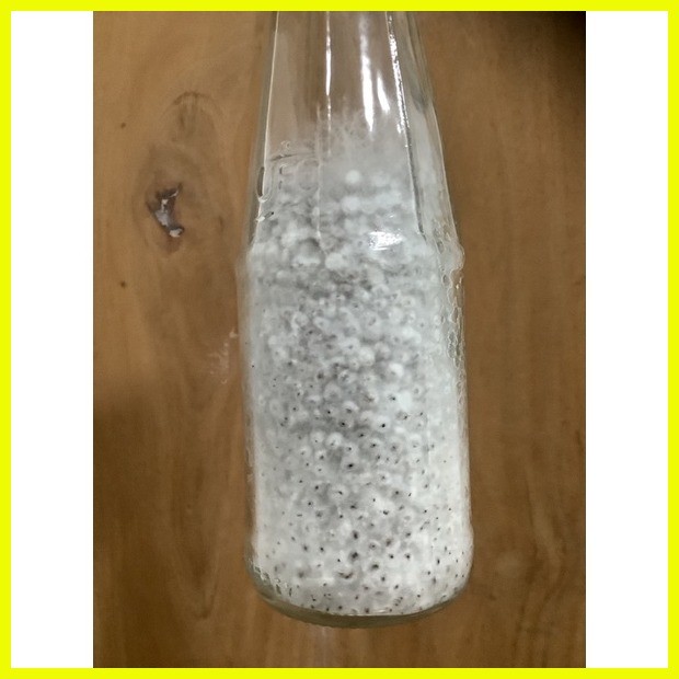 ∏ F1 WHITE OYSTER MUSHROOM 170g | Shopee Philippines
