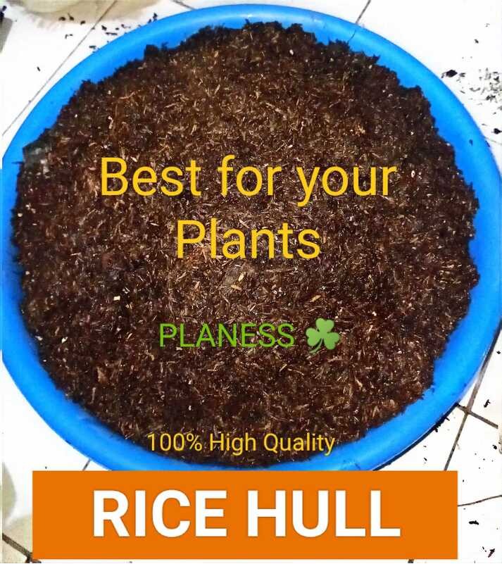 Composted Rice Hull Bulok na Ipa Best Gardening I Good Quality for ...