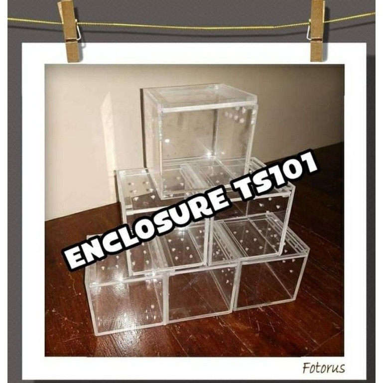 Acrylic Enclosure Box Cage for Tarantula, Isopods, Beetles, Gecko ...