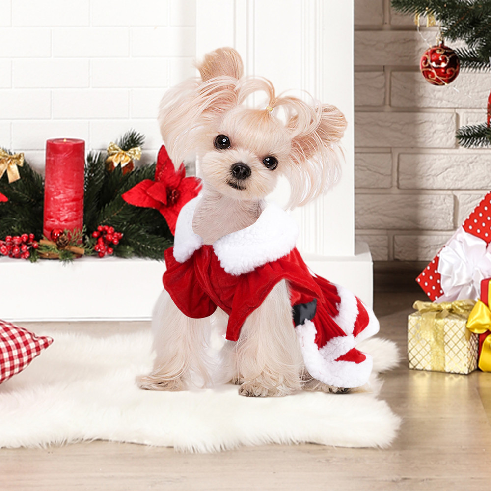 Christmas pet dress red