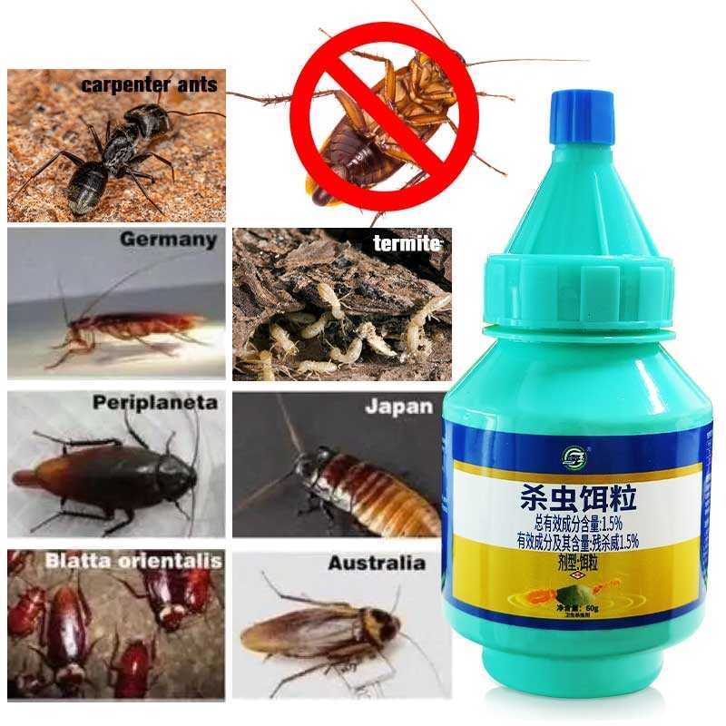 WH roach 60g traps effective ant killer bait powder | Shopee Philippines