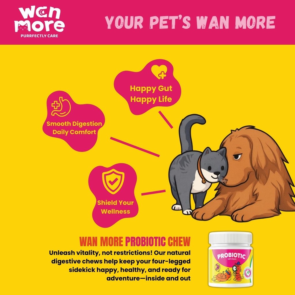 WAN MORE Probiotic Soft Chews Dogs Cats Ubat Cirit Birit Kucing Anjing ...