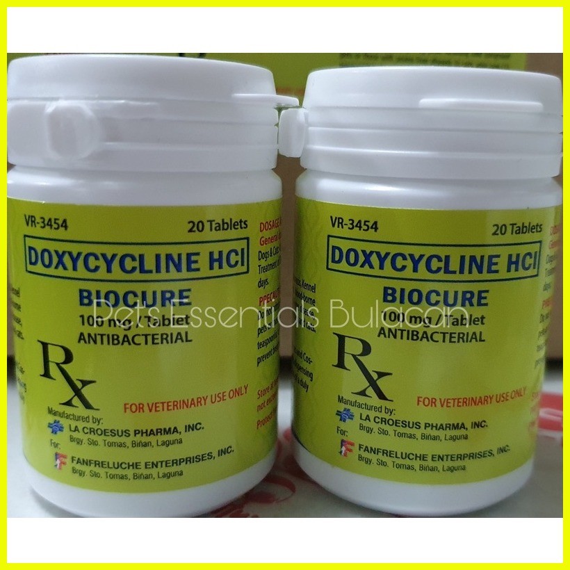 Biocure 20 tablets for dogs and cats | Shopee Philippines