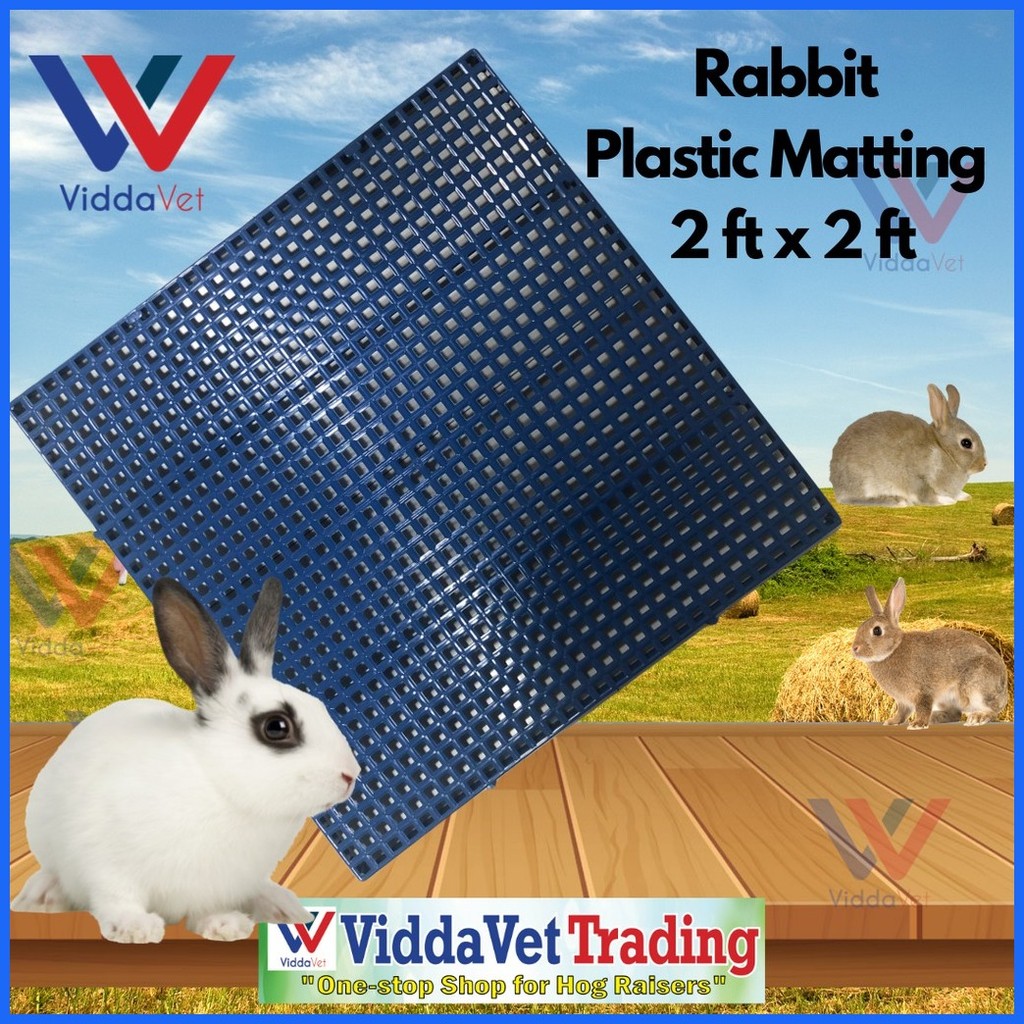 ⇧ ┓ ⚠ BLUE 2 ft X 2 ft Plastic Matting for Rabbits Heavy Duty Rabbit ...