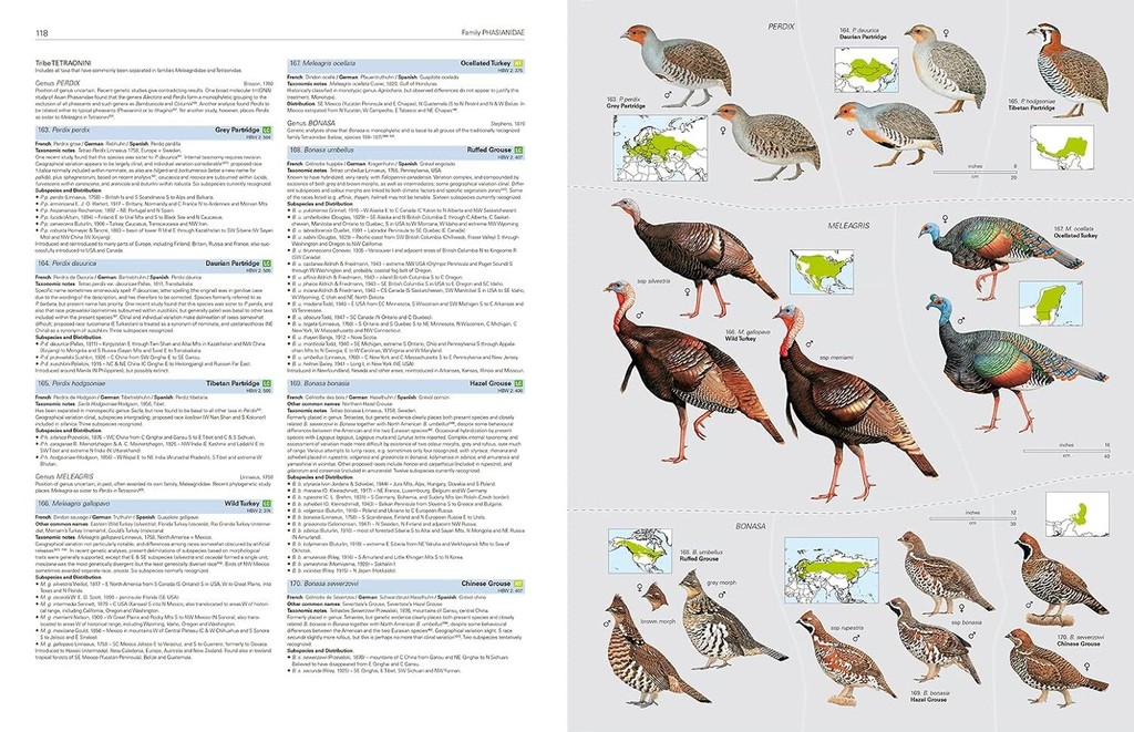 In Stock World Bird Guide Volume 1 HBW and BirdLife International ...
