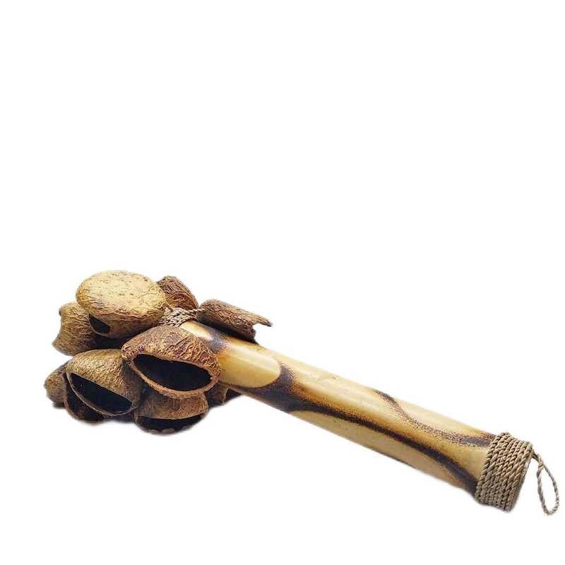 83 Fruit Shell Natural Bone Shell, Sound Bundle, Stick, Campaign, Niche ...