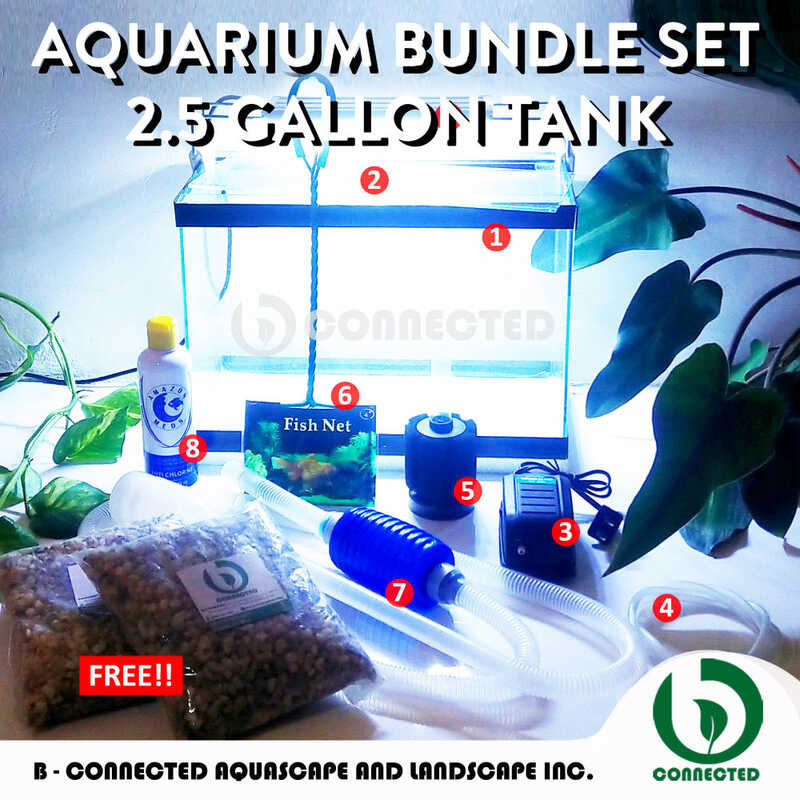 AQUARIUM BUNDLE SET 2.5 GALLON - FISH GLASS TANK COMPLETE WITH FREEBIES ...