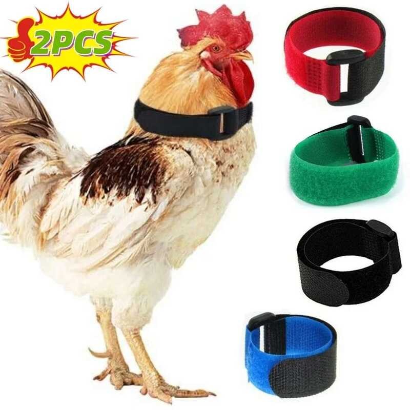 Anti Rooster Crowing Collar With Adjustable Noise Free Nylon Strap To ...