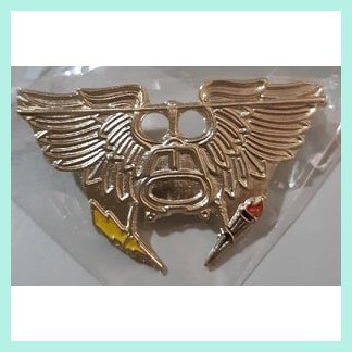 AGOS PIN (BRONZE / GOLD), HELIBORNE PIN (GOLD) | Shopee Philippines