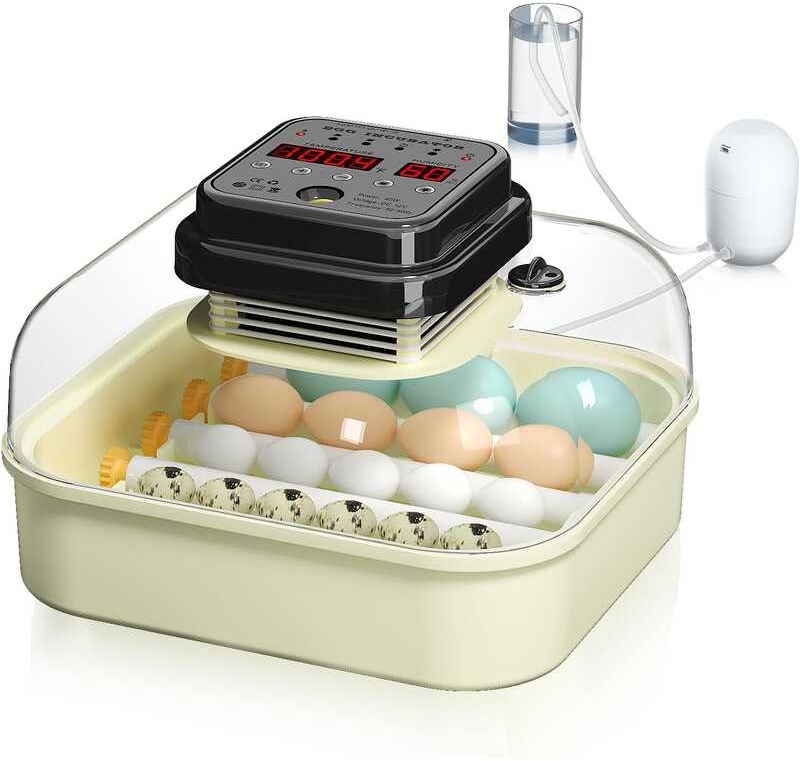 incubator, CoInceptus 16 automatic egg rotation and humidity control