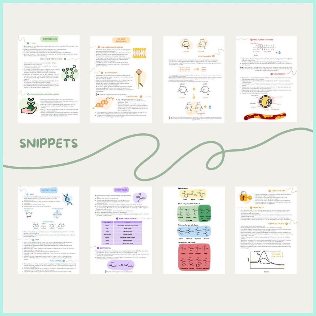 Biochemistry Cheat Sheets Pharmacy Reviewer, Nursing Reviewer, Medicine ...