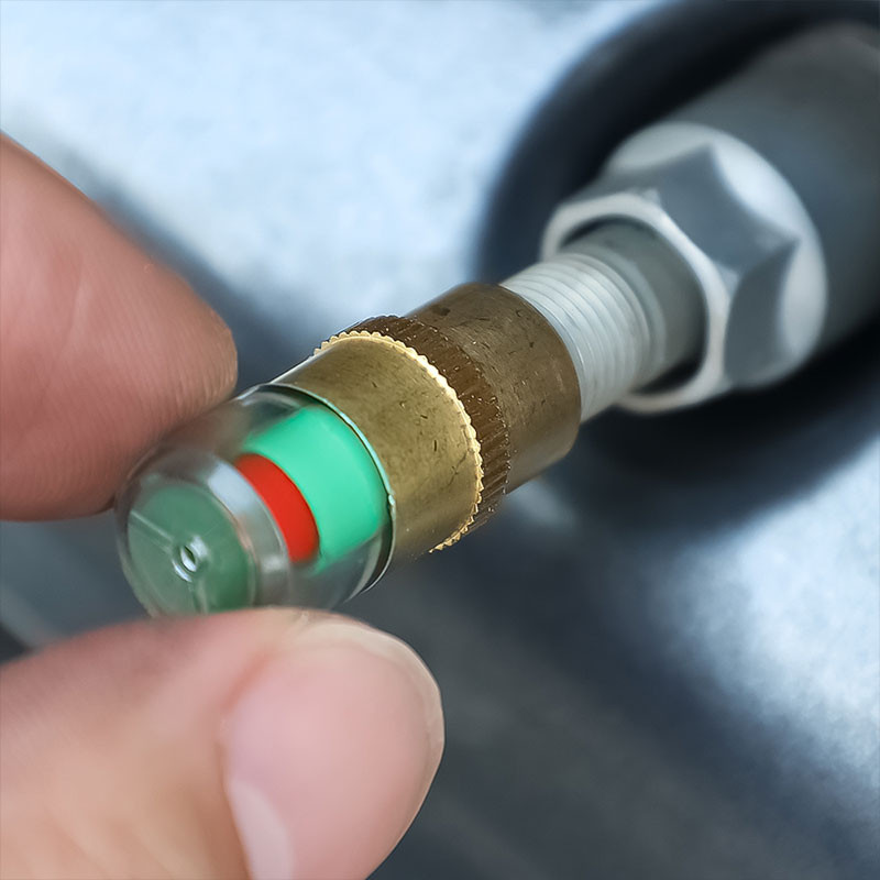 Car Auto Tire Pressure Gauge Monitor / Valve Stem Tire Valve Cap / 3