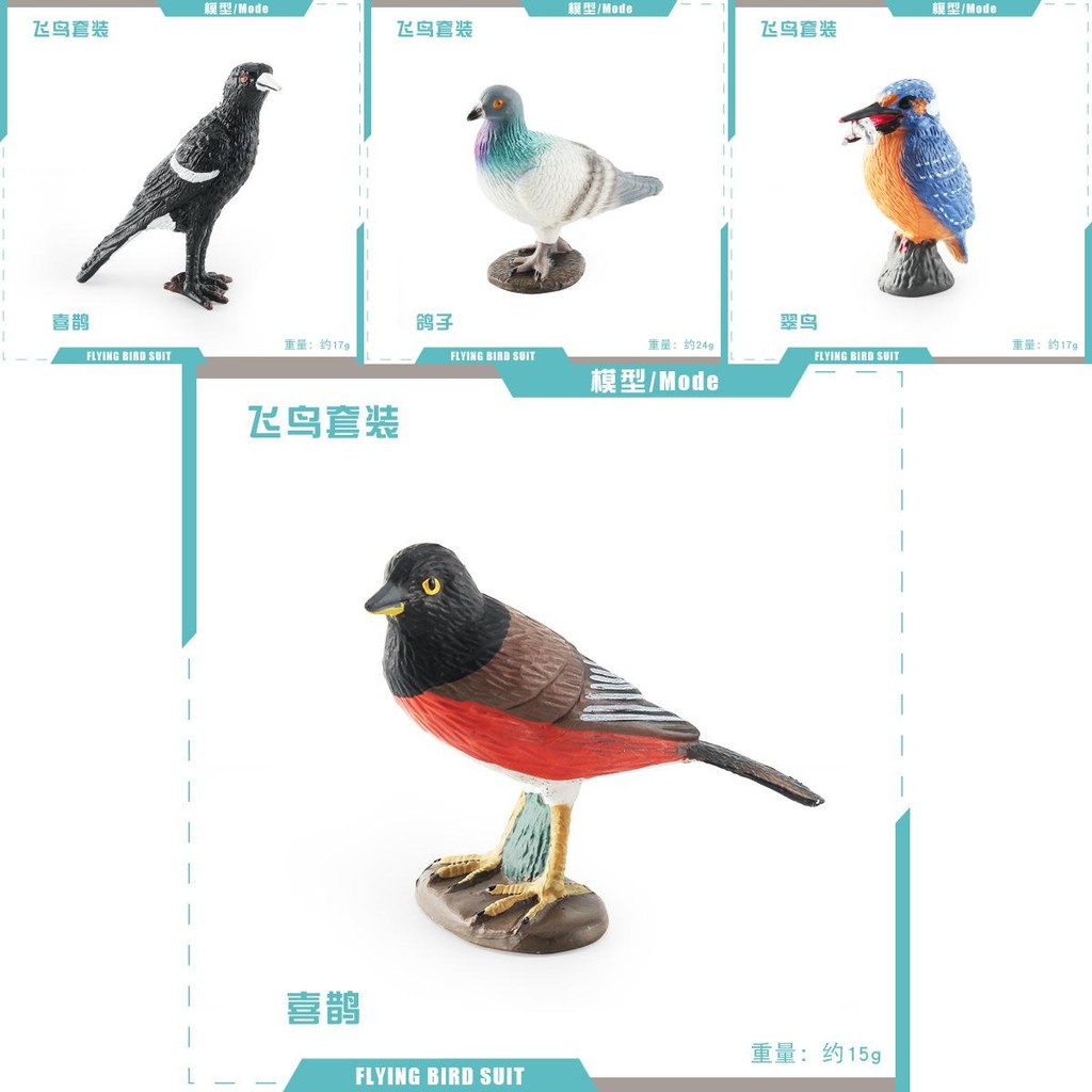 Bird Charming Realistic Models Including Dove Magpie Cuckoo And