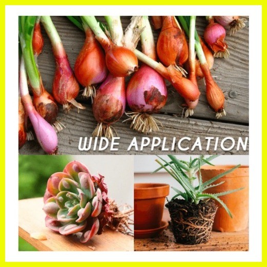 (5pcs) Rapid Grow Rooting Powder Rooting Fertilizer Faster Grow Plants ...