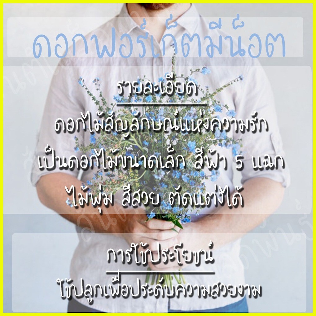 ⊙ Ready Stock 100150 Pcs Me Not Flower Seeds Anak Biji Benih