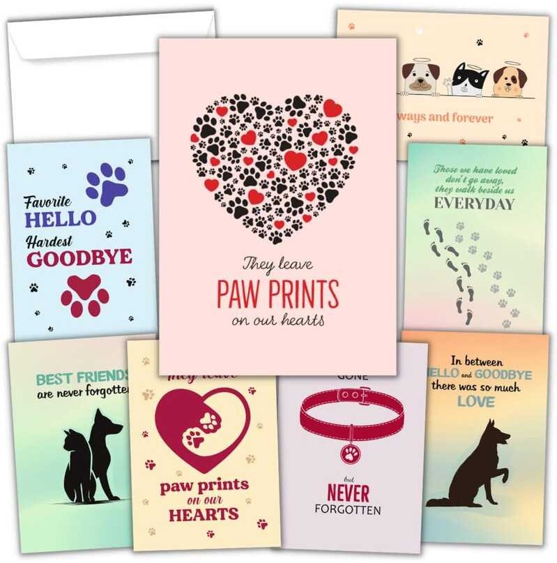 Hat Acrobat Dogs, Cats with Envelopes Card, Set, 24 Cards in 8 ...