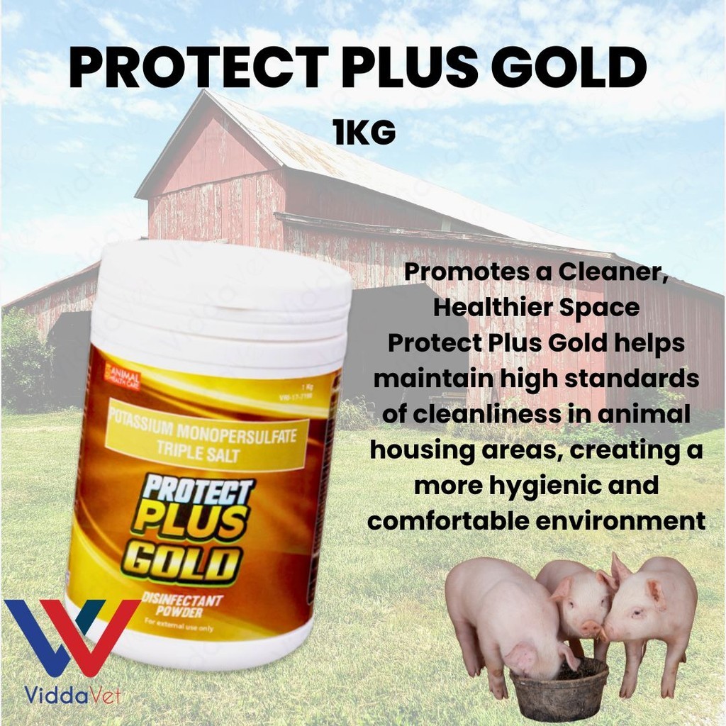 1kg Protect Plus Gold Disinfectant Powder Odor Control Animal Shelters ...
