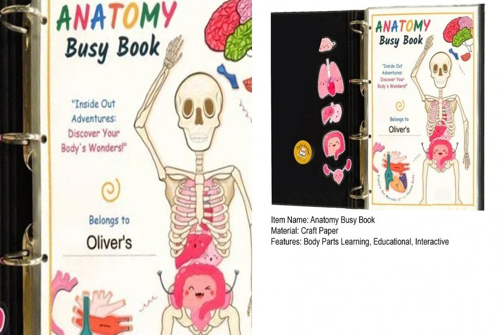 Interactive Human Anatomy Book Kids Anatomy Workbook Interactive Body