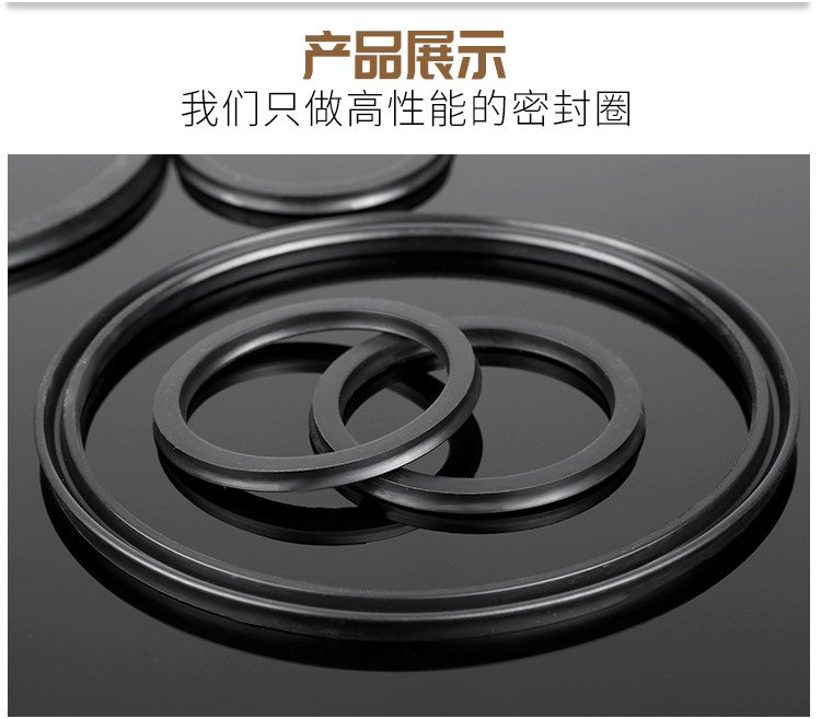 Imported Z8 Type Taiwan Full Fluoride PET Cylinder Sealing Ring Piston
