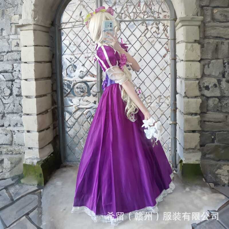 Adult Enchanted Rapunzel Princess Rapunzel Purple Long Dress Rapunzel ...