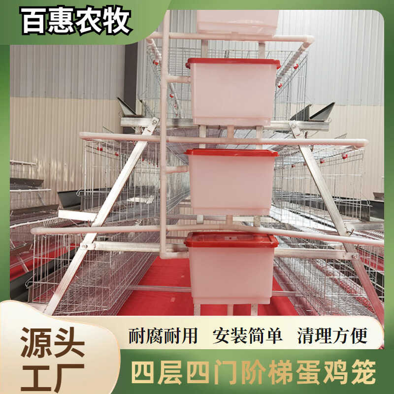 Four-Layer Stackable Four-Door Chicken Cage Equipment for Farms ...