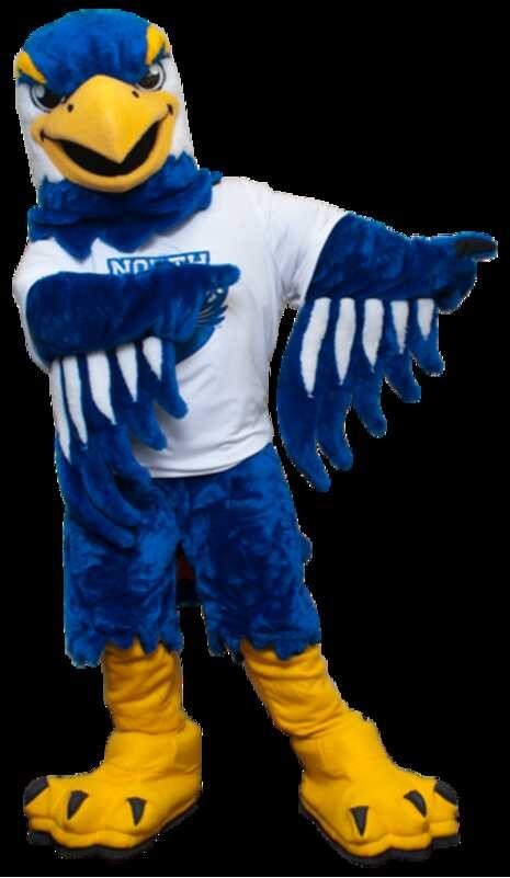 Eagle School Blue Mascot Hawk Falcon Custom Costume Anime Cosplay Kits ...
