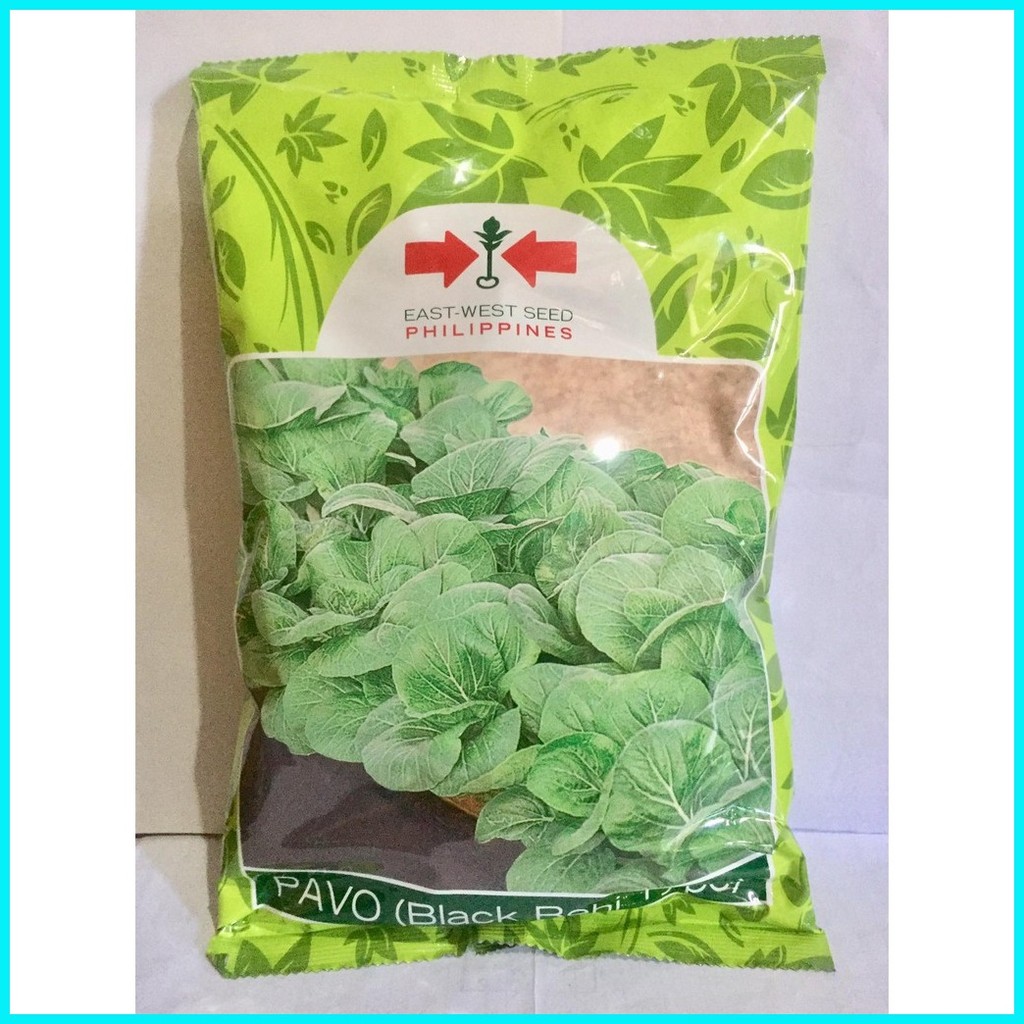 Pechay East West Seeds Pechay Pavo (Black Behi Type) 1kl. | Shopee ...