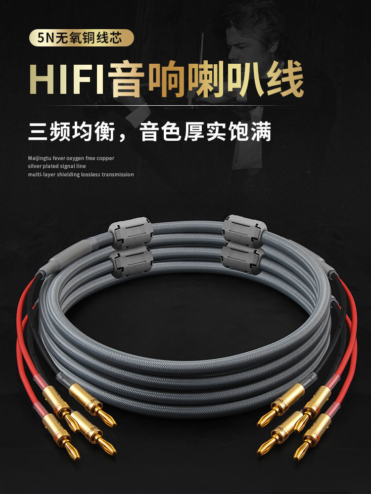 Hifi Audio Speaker Cable Fever Grade Professional 5N OxygenFree Copper