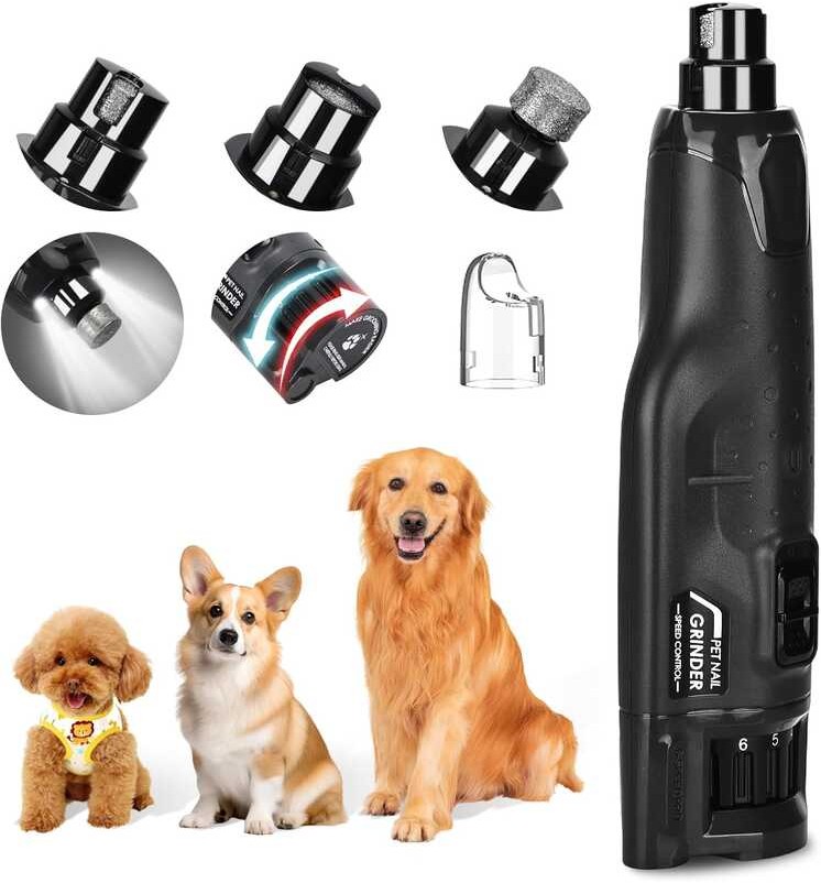 Podazz Dog Quiet Low Vibration, 6 Speed Pet Grinder with 2 LED Lights ...