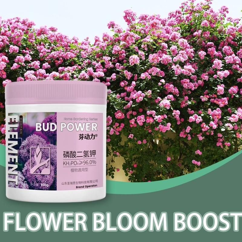 blooming powder for plants 500 G from Japan | Shopee Philippines