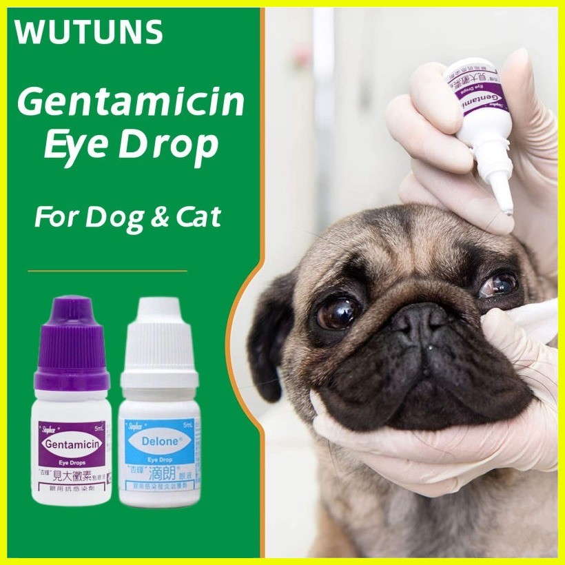 Pet eye drops Gentamicin Eye Drops for Pet Cat Dogs Eye Infection ...