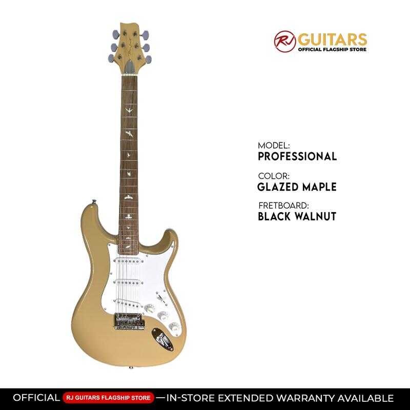 RJ Professional Electrics - Vibecaster Electric Guitar (Siersky
