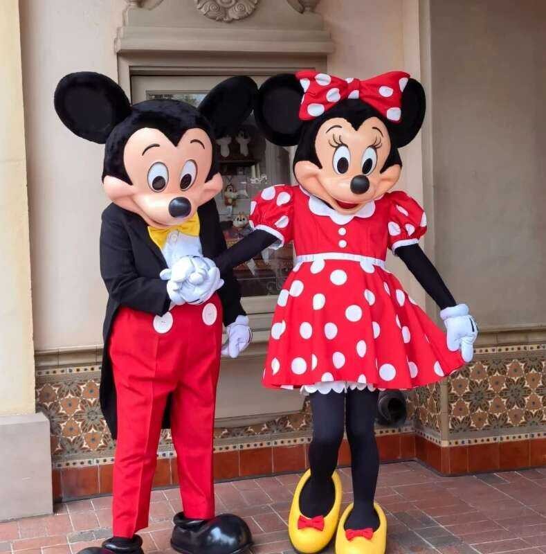AA New MINISO Cosplay Boy And Mouse Girl Minnie Cartoon Character ...