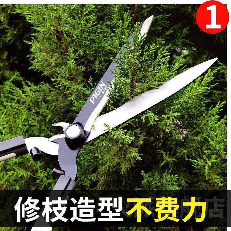 Japanese Quality Hedge Shears Large Scissors for Flowers and Trees ...