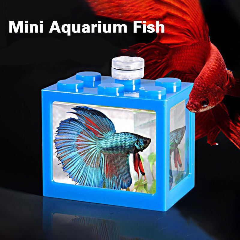 Mini Aquarium Fish Tank Block Desktop Betta Guppy Building Pet ...