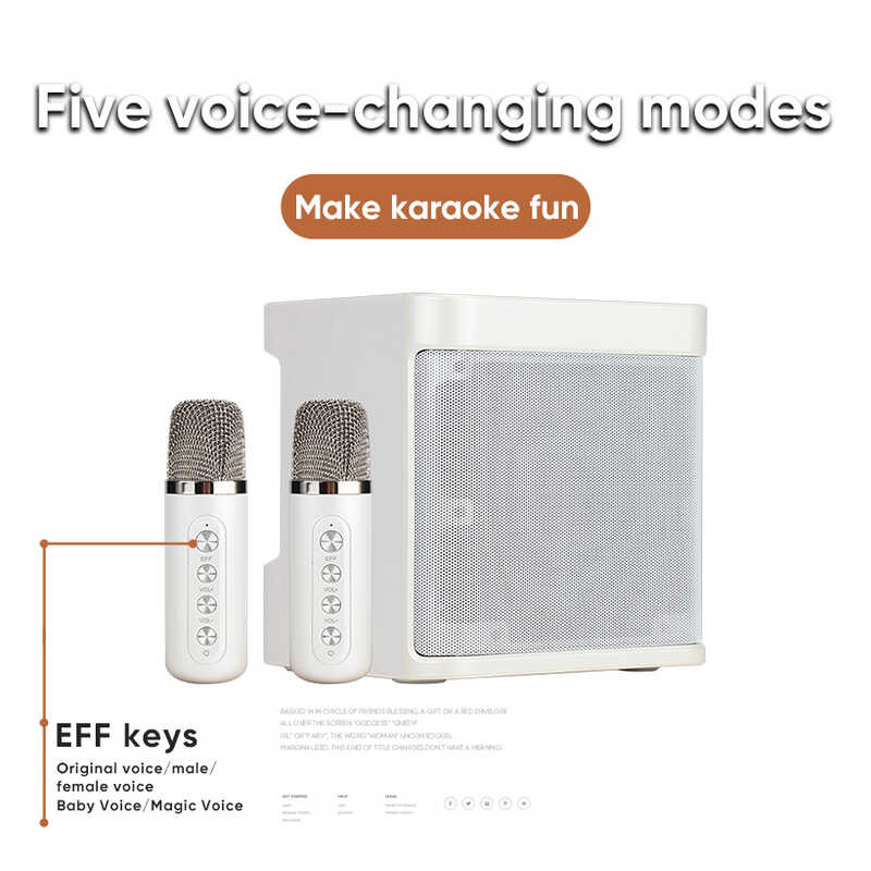 Stereo ACAI 3D Amplifier Wireless Bluetooth Dual Microphone Karaoke ...