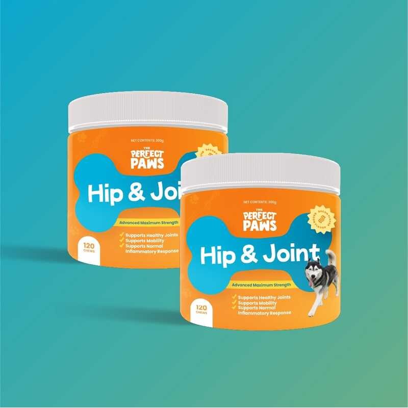 CW./ The Perfect Paws 120 Chews Hip at Joint Support for Dogs [Bundle ...