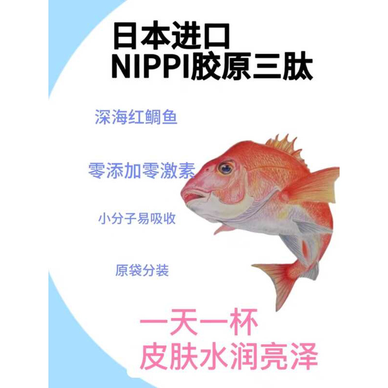 99D Nippi Red Snapper Peptide Collagen Tripeptide Small Molecule Easy ...