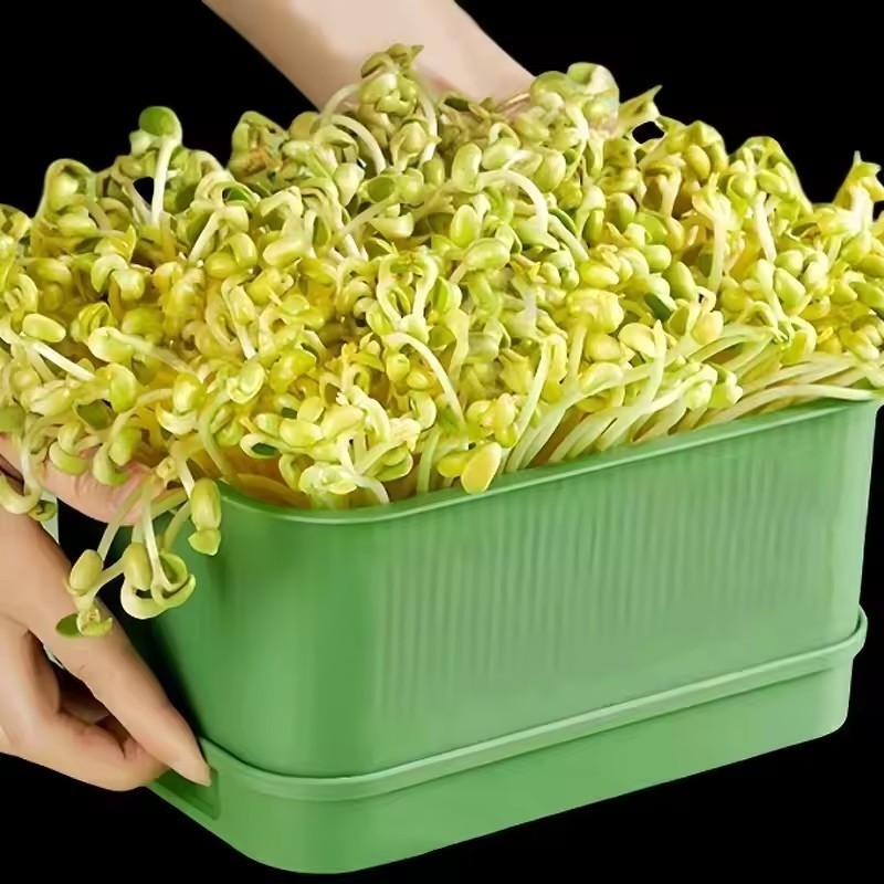 1/2Sets Plastic Seed Sprouting Boxes / Stackable Microgreens Fresh ...