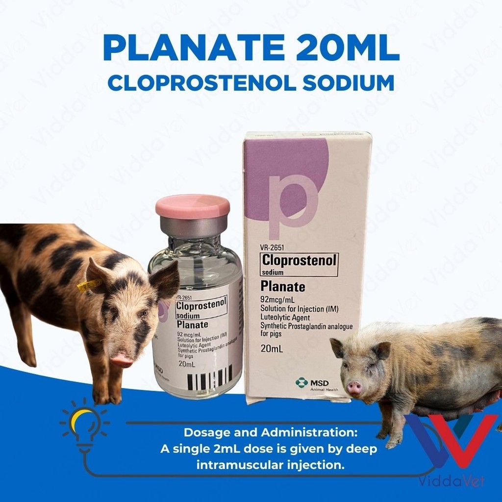 Planate 20mL Inj Safe Simple and Effective Farrowing Aid | Shopee ...