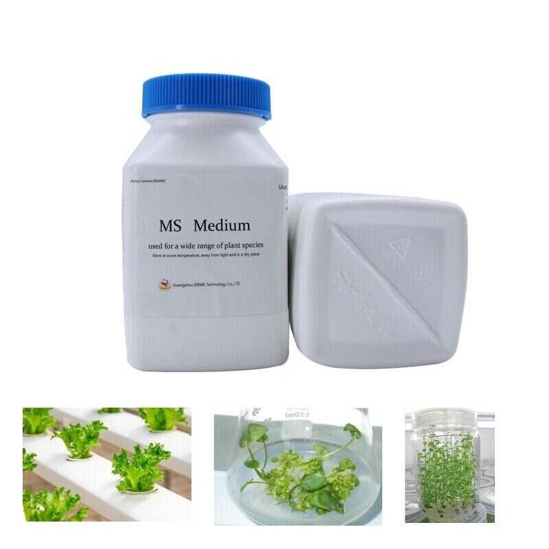 250G Lab Ms Tissue Culture Plan At Orchid Media Chemistry Murashige