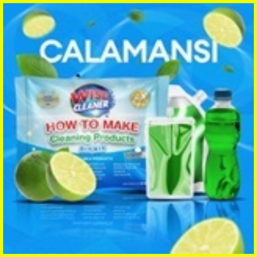 ☢ ☂ DIY DISHWASHING LIQUID KIT WISE CLEANER DIY KIT | Shopee Philippines