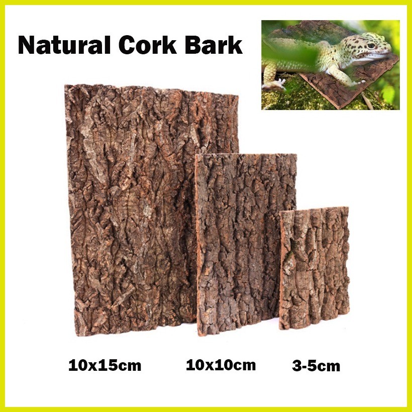 ♨ Natural Cork Bark for Tarantula Hideout Reptile Terrarium Climb Tree