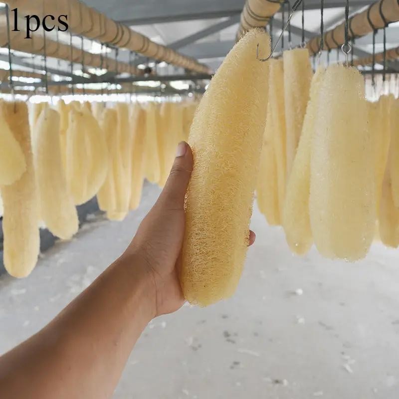 1PCS 25cm Natural Loofah Sponge Scrub Luffa Shower SPA Dish Bowl Wash ...