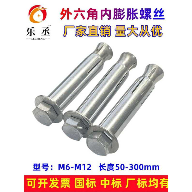 Galvanized External Internal Screws/Extended Bolts/External Hexagon ...